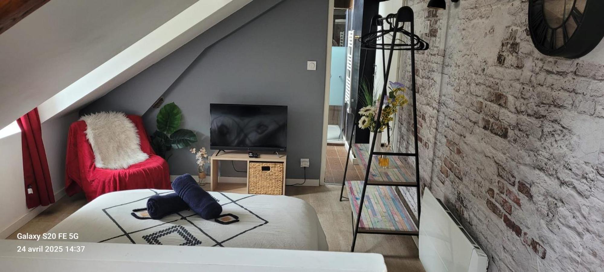 Les Volets Bleus - Refaits à neuf, deux appartements et un studio, Jardin Bourges Esterno foto