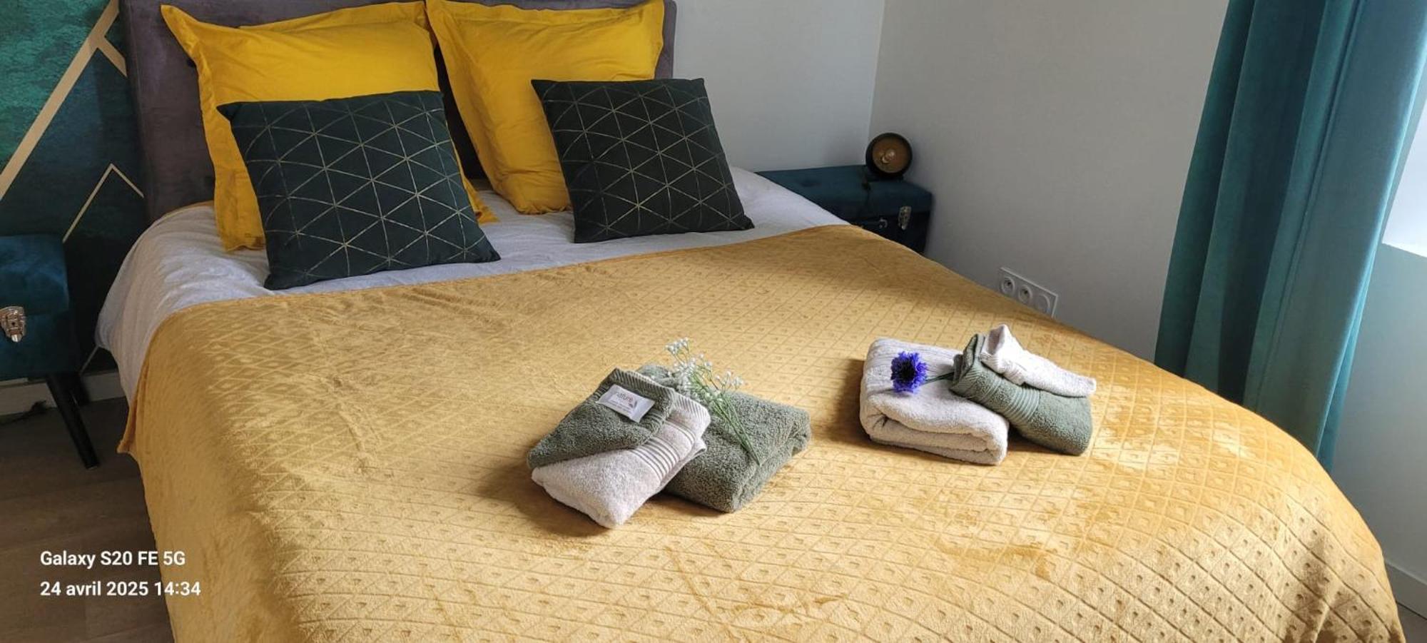 Les Volets Bleus - Refaits à neuf, deux appartements et un studio, Jardin Bourges Esterno foto