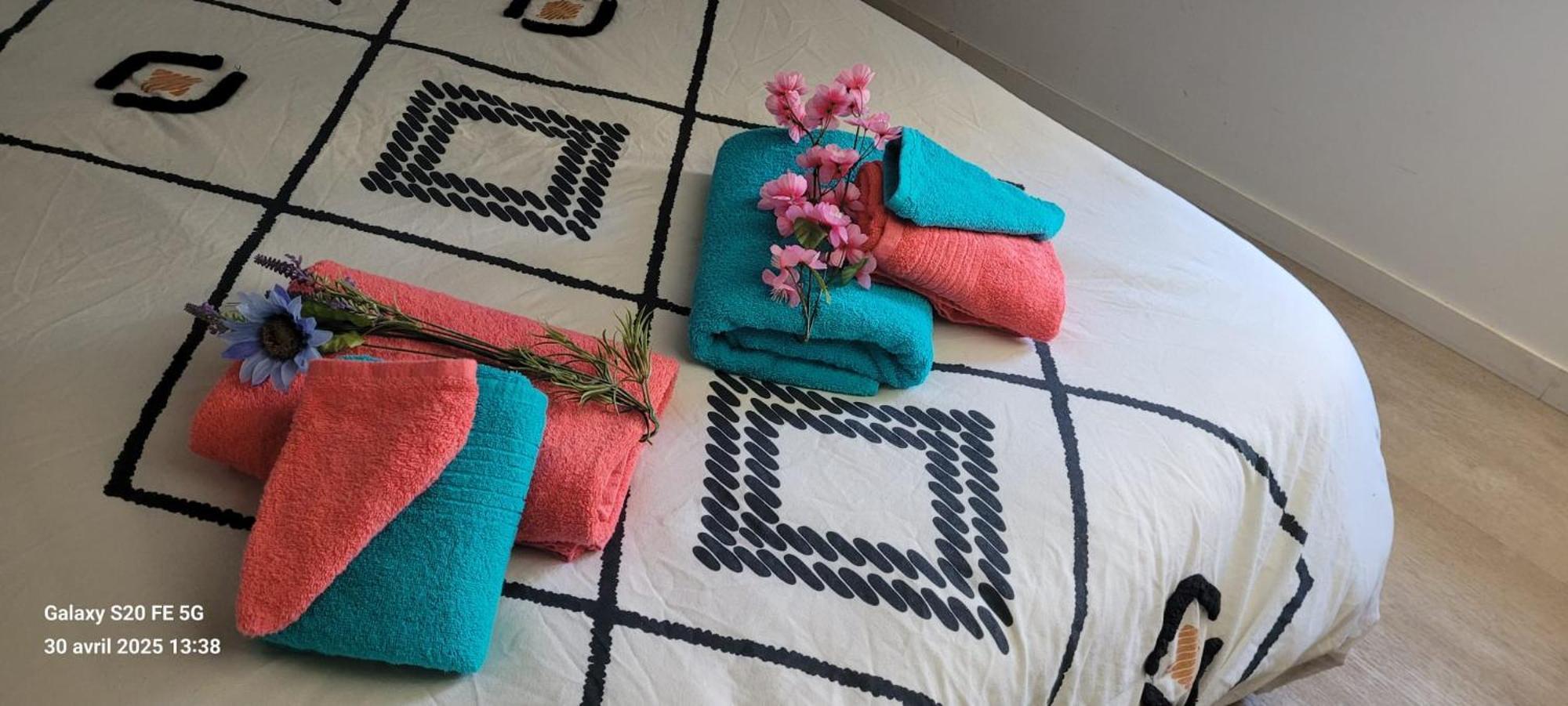 Les Volets Bleus - Refaits à neuf, deux appartements et un studio, Jardin Bourges Esterno foto