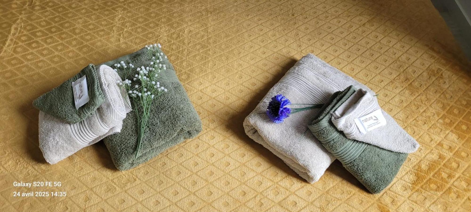 Les Volets Bleus - Refaits à neuf, deux appartements et un studio, Jardin Bourges Esterno foto